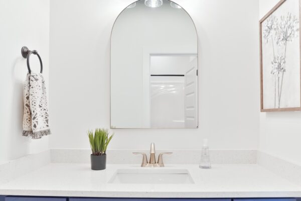 Shared Guest Bathroom Vanity