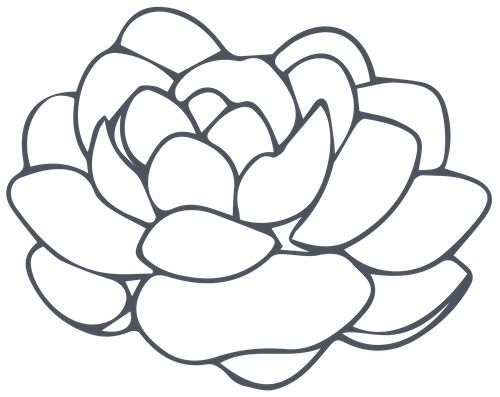 Camellia Crossing icon